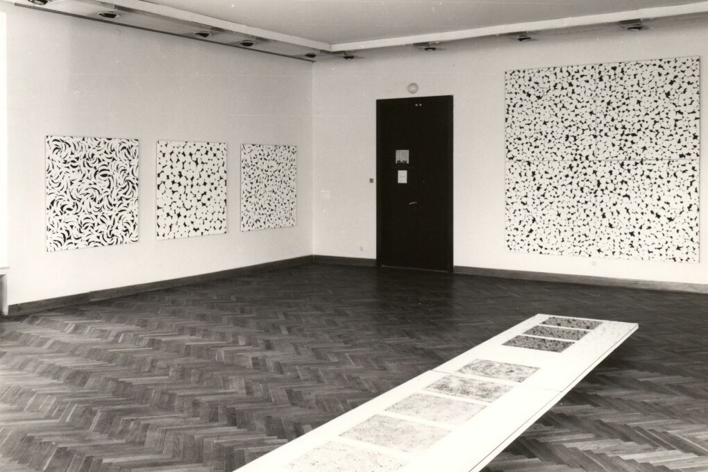 Pavel Hayek. Struktury